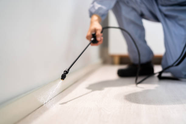 Licensed Pest Control service in Mahanoy City, PA - Show Me Pest Control